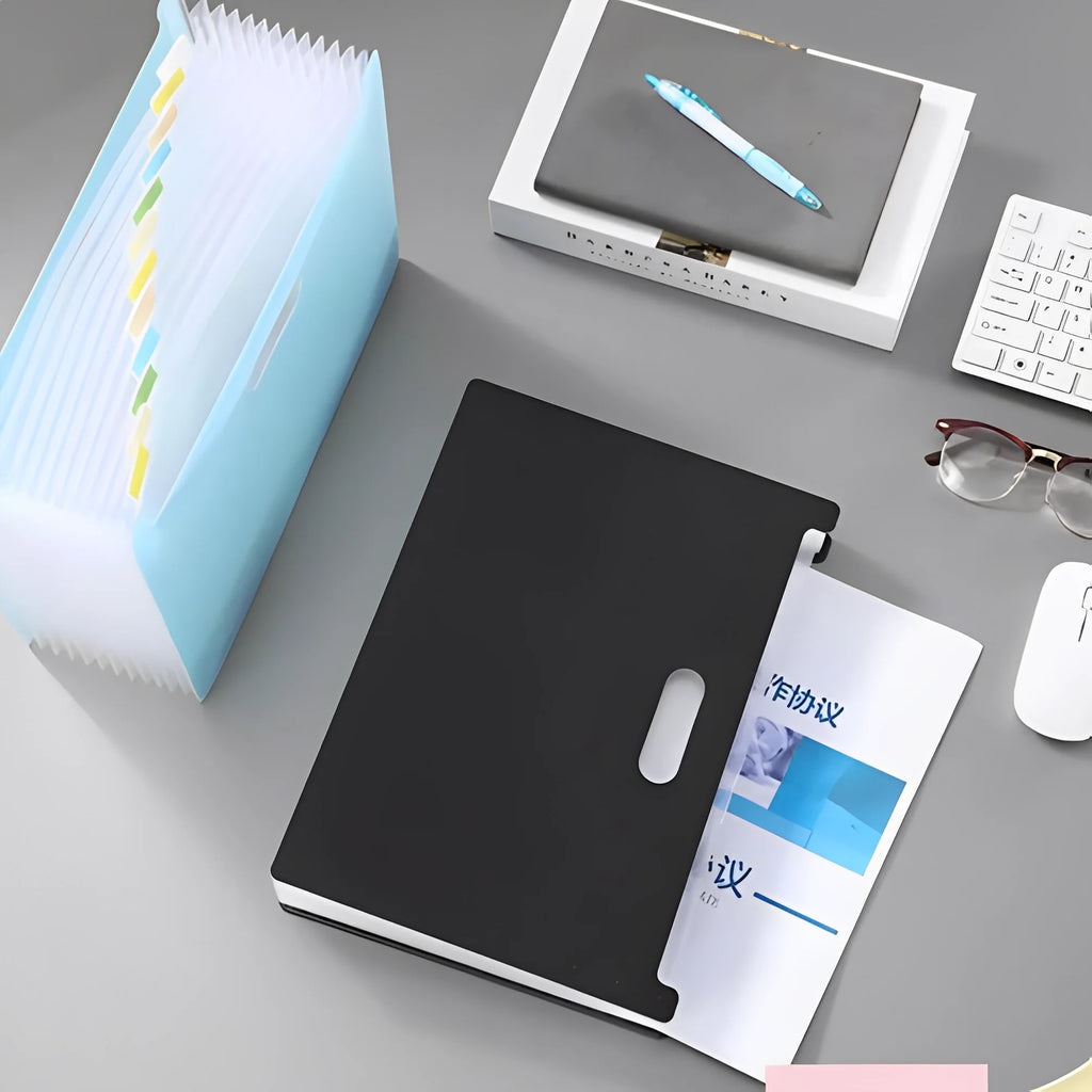 12 Partitions Folder Multi-Purpose Sanfonated Document Organizer-Neverdie Store